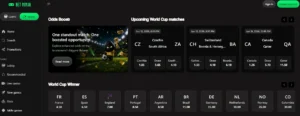 What Is BetNinja Casino
